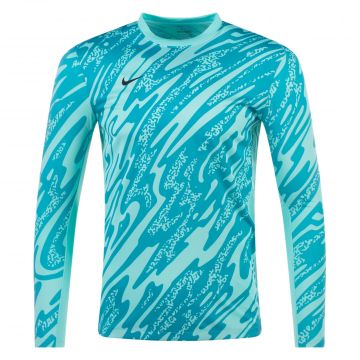 Nike Gardien V Long Sleeve Goalkeeper Jersey - Turquoise